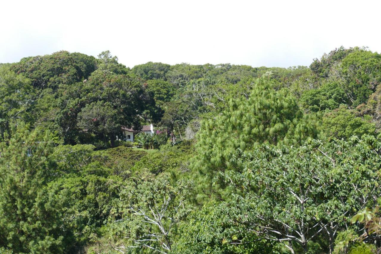 Casitas Vista Verde Bajo Boquete Luaran gambar
