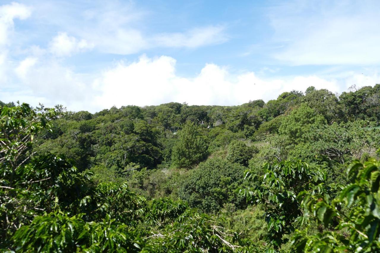 Casitas Vista Verde Bajo Boquete Luaran gambar