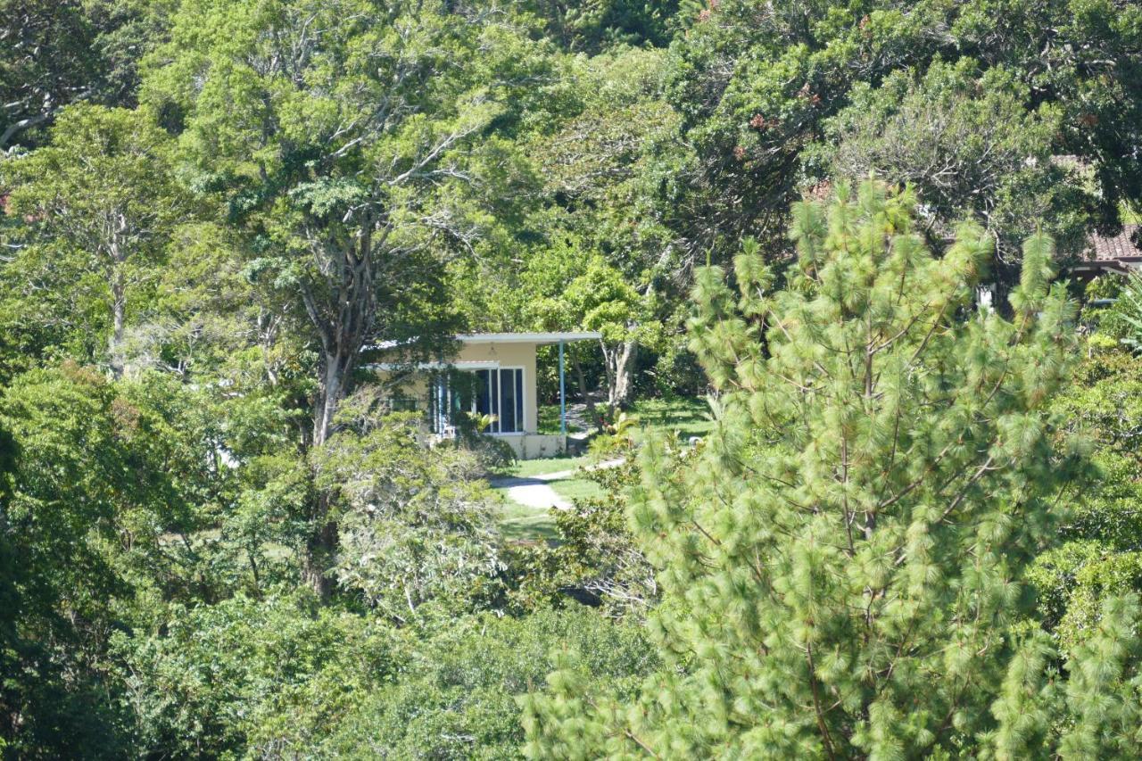 Casitas Vista Verde Bajo Boquete Luaran gambar