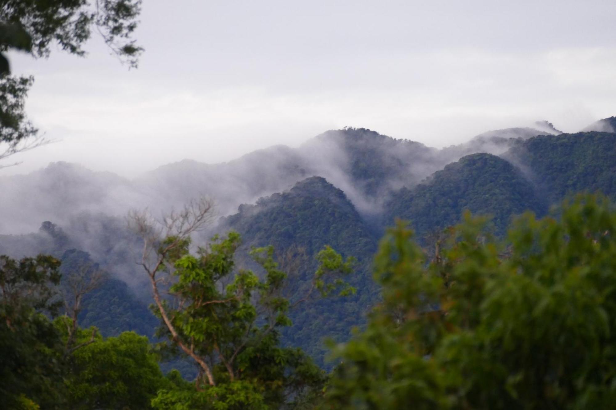 Casitas Vista Verde Bajo Boquete Luaran gambar