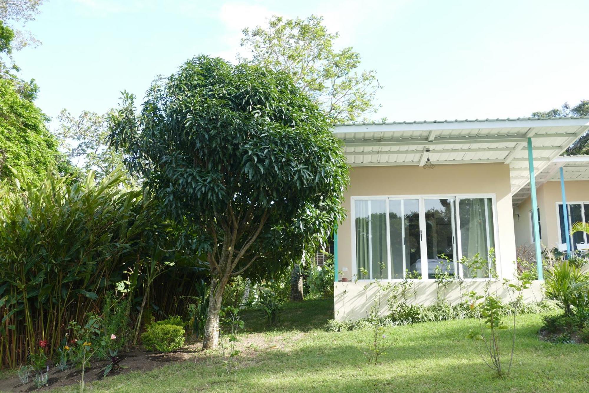 Casitas Vista Verde Bajo Boquete Luaran gambar