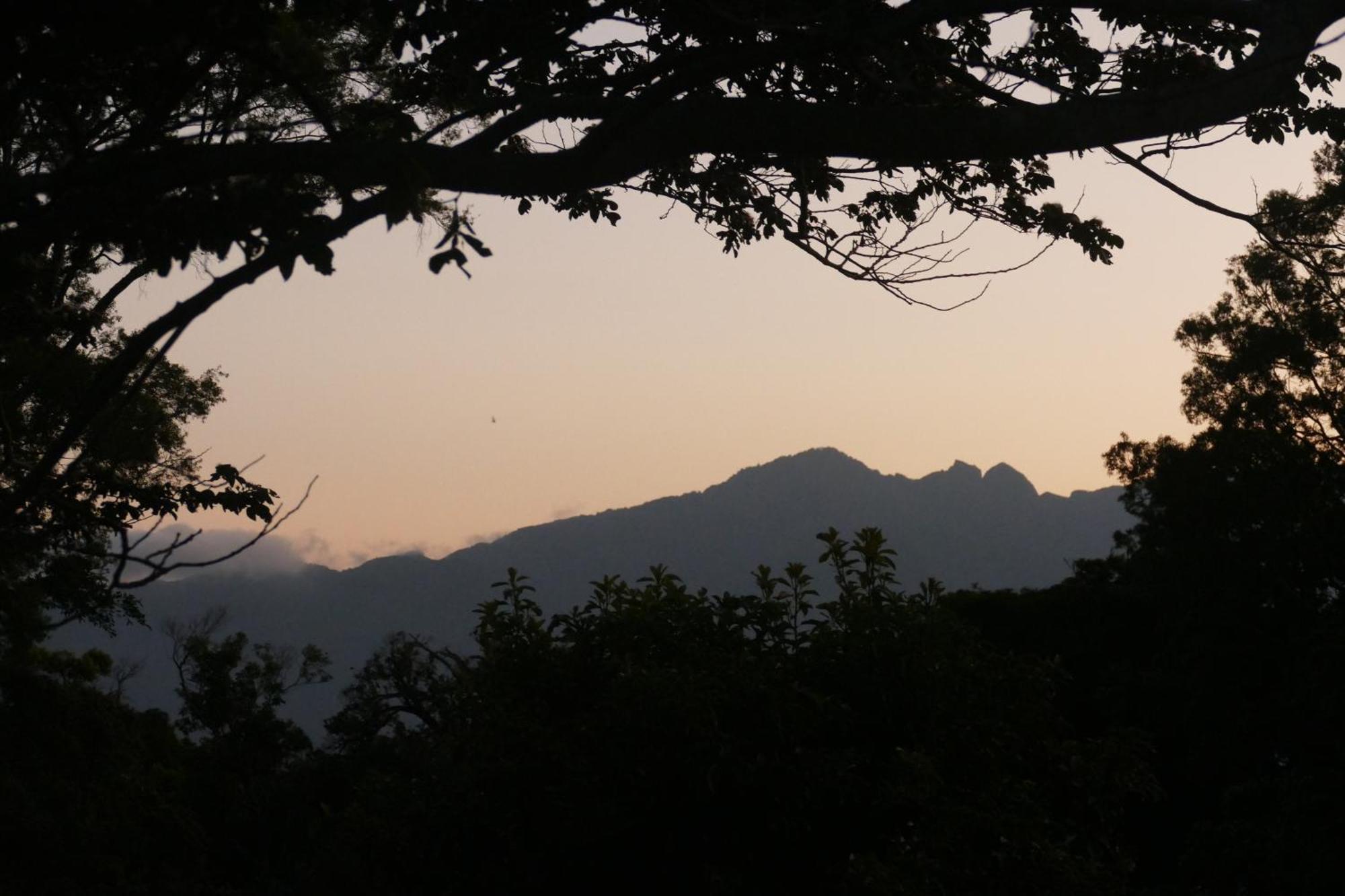Casitas Vista Verde Bajo Boquete Luaran gambar