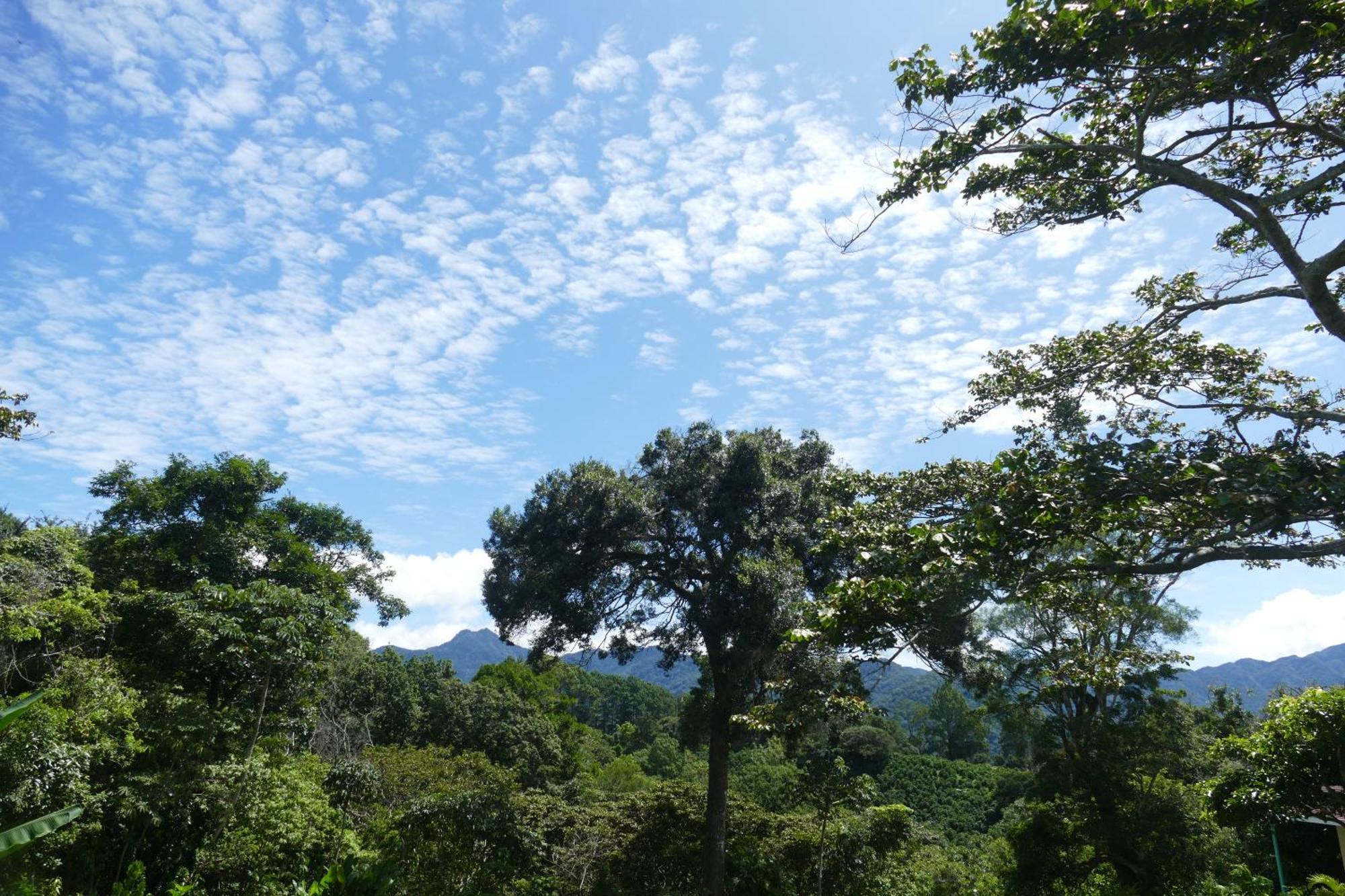 Casitas Vista Verde Bajo Boquete Luaran gambar